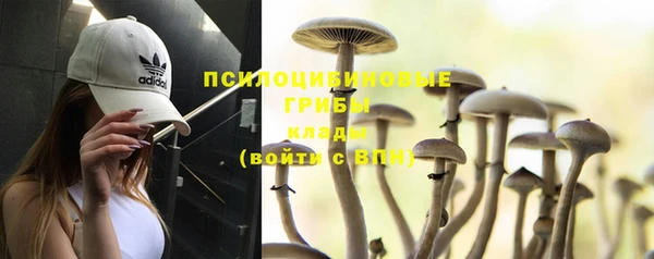 каннабис Михайловск