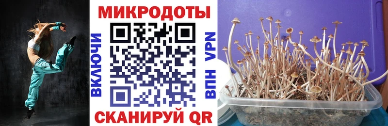 Галлюциногенные грибы мухоморы  купить наркотик  Бердск 