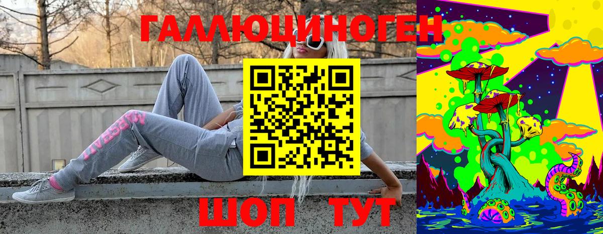 Галлюциногенные грибы Psilocybine cubensis Бердск