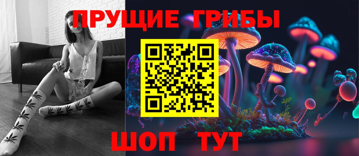 Бердск  Псилоцибиновые грибы Magic Shrooms  Вход с VPN 